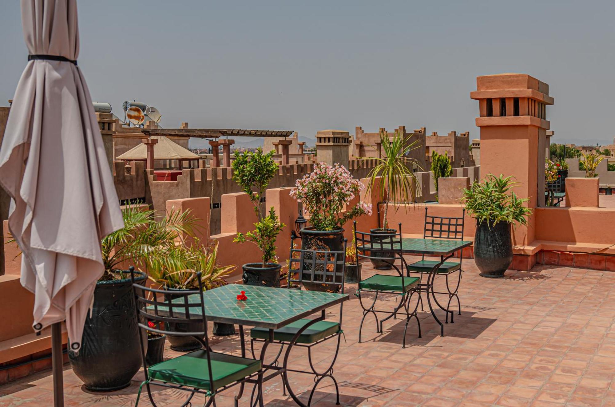 Kenza Riad